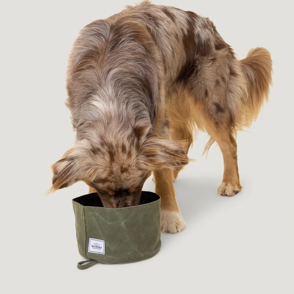 Wolf Republic Camp Bowl Dog Bowl